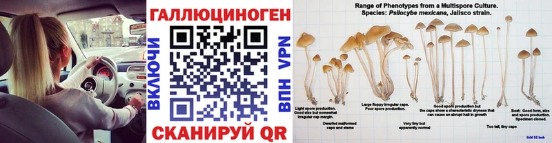 цены наркотик  Оленегорск  Псилоцибиновые грибы мицелий 